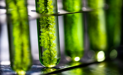 Sustainable aviation fuels key for the future of air travel