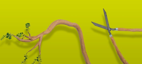 How can a successful company embrace purpose?