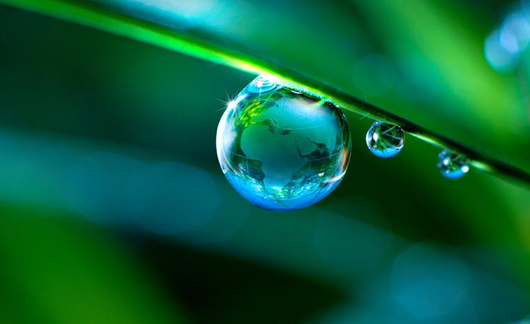 Combating climate change – Now means NOW!