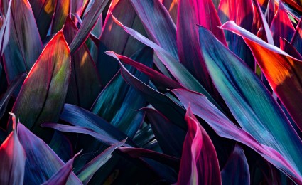 Communication on Progress for the UN Global Compact 2020 - 2021