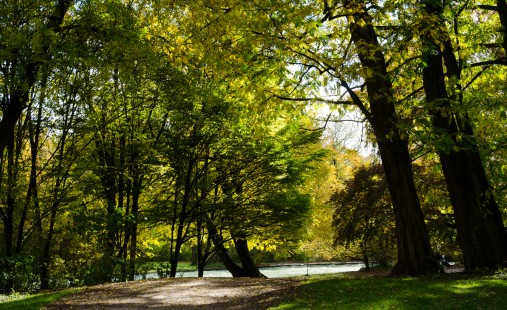 Our roadmap to net zero emissions