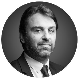 Portrait of Stéphane Tubiana