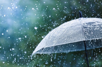 Future of distribution in the Spanish insurance market